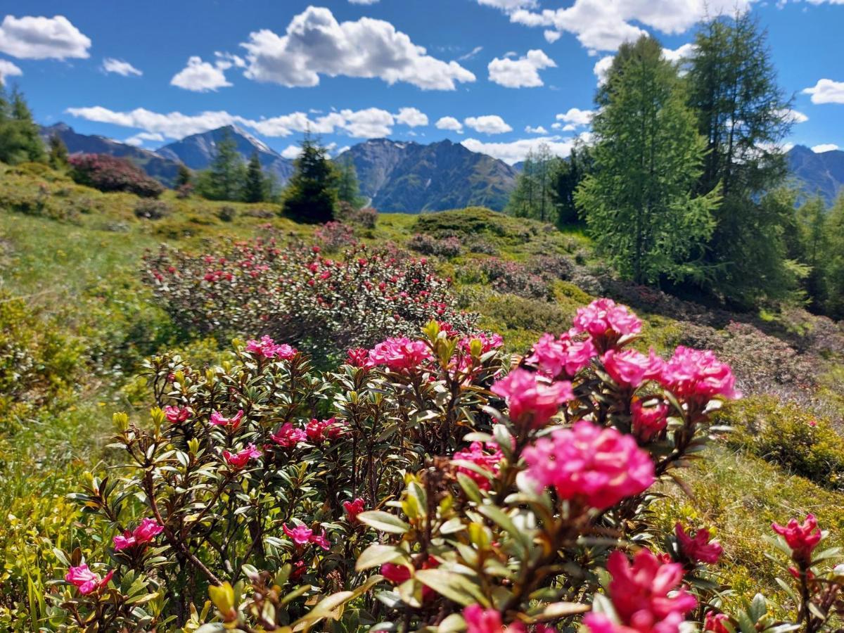 Haus Edelweiss Spiss Bei Samnaun Bagian luar foto